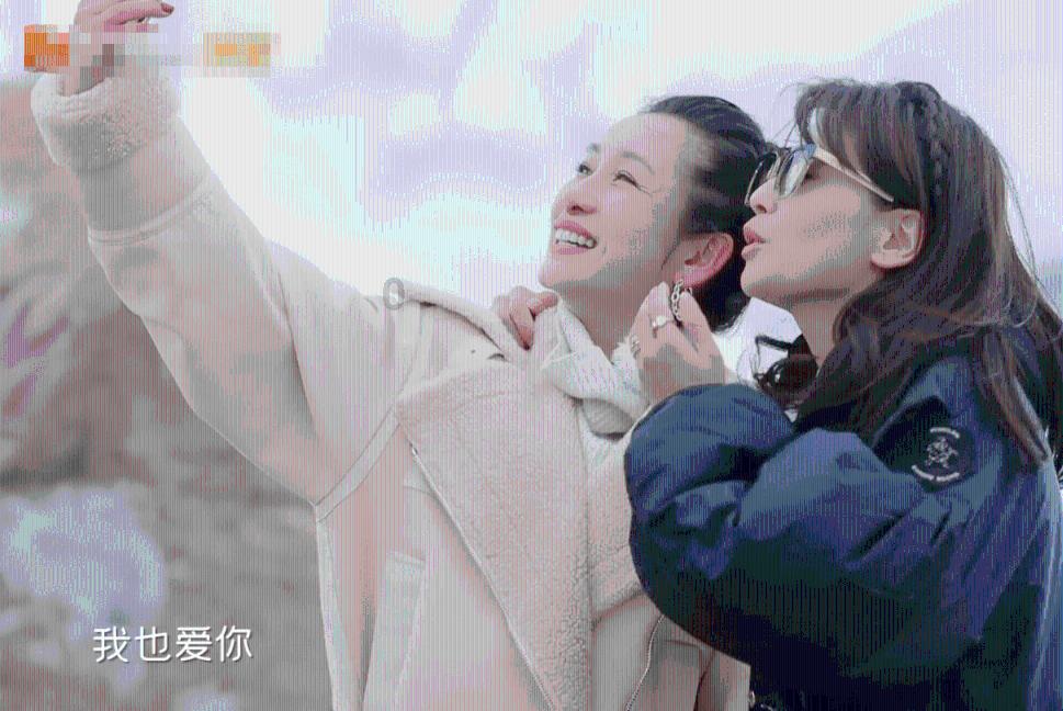 解惑蜗牛,探秘